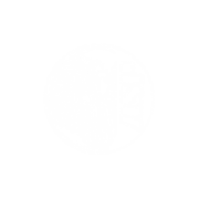 asp batons